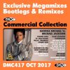 Download track Bad Romance Vs She Drives Me Crazy (Mixed By Bergwall)