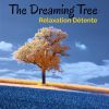 Download track Spa Relaxation