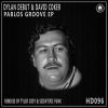 Download track Pablos Groove (Original Mix)