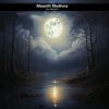 Download track Moonlit Rhythms