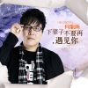 Download track 下辈子不要再遇见你