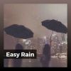 Download track Beautiful Raincoats