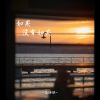 Download track 如果没有如果