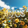 Download track Adios (Towerume Remix)