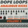 Download track Dloops Analog 05