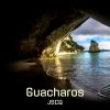 Download track Guacharos