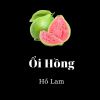 Download track Ổi Hồng 21