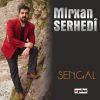 Download track Bejna Zîrav