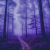 Download track Deep Purple (SLOWED)