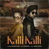 Download track Kalli Kalli