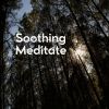 Download track Light Meditation, Pt. 4