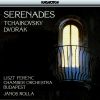 Download track 08 Serenade In E Major Op. 22 - IV. Largheto
