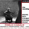Download track Sonata No. 3 In G Minor, BWV 1029 (Arr. For Cello & Piano): II. Adagio (Live)