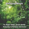 Download track Relaxing Music, Pt. 5