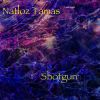 Download track Shotgun (Extended Mix)