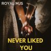 Download track Never Liked You (Original Mix)