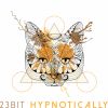 Download track Hypnotisch