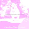 Download track Superlative Moods For Cute Dogs