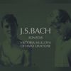 Download track Sonata In C Minor (BWV 1017) - I - Largo