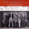 Download track The House Of The Rising Sun