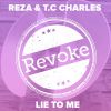 Download track Lie To Me (Radio Edit)