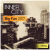 Download track Big Fun 2017 (E-Dancer Dub Mix)