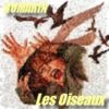 Download track Les Oiseaux (Romarin2008)