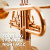 Download track Soothing Evening & Night