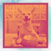 Download track Background For Doggy Mental Health