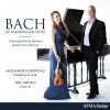 Download track Sonate Pour Viole De Gambe Et Clavecin No. 2 In D Major, BWV 1028 IV. Allegro