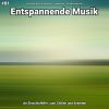 Download track Entspannende Musik Teil 41