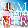 Download track Summer Time, Vol. 5 (Continuous Mix)