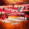 Download track Le Paso Des Guinguettes (Paso-Doble) [Karaoké Playback Complet Avec Accordéon]