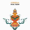 Download track Ritual Tibetan (Extended Mix)