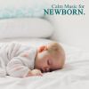 Download track Beautiful Baby Lullaby