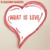 Download track What Is Love (Extended Version)