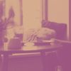 Download track Laid-Back Ambience For Cafes