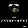 Download track Underrated