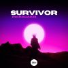 Download track Survivor (Radio Edit)