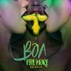 Download track Boa