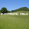 Download track Electronic Field