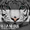 Download track MI Negra Bonita