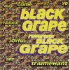 Download track Reverend Black Grape [The Dark Side Mix] 