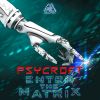 Download track Enter The Matrix