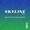 Download track Electronic Perception (Spaxx Project Remix)