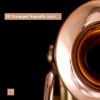 Download track 20 Trumpet Smooth Jazz