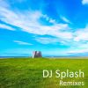 Download track Monkey Island (DJ Splash Remix)