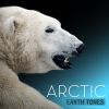 Download track Arctic High