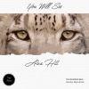 Download track You Will See (Maylo & Josh Remix)