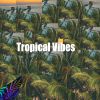 Download track Tropical Vibes